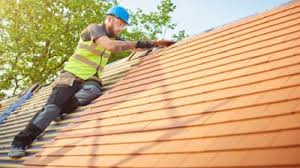 Roof Moss and Algae Removal in Delafield, WI